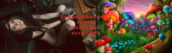 мет Зеленодольск