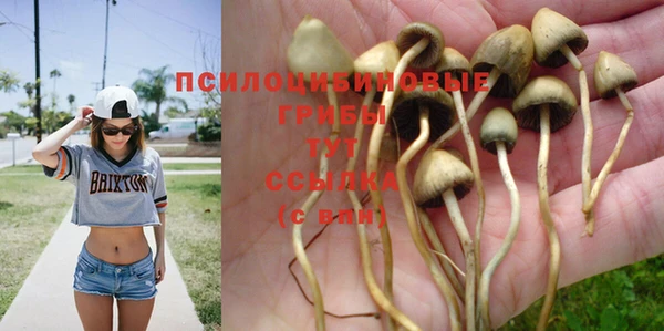 мет Зеленодольск