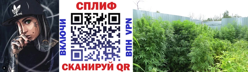 Конопля White Widow  Купить  Заречный 